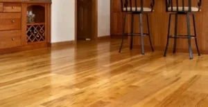 Hardwood Floors